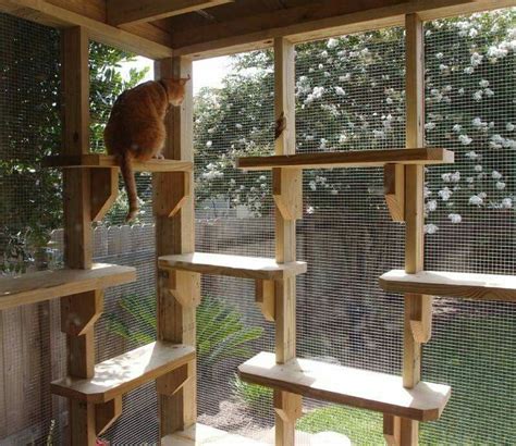 outdoor cat enclosures with shelves